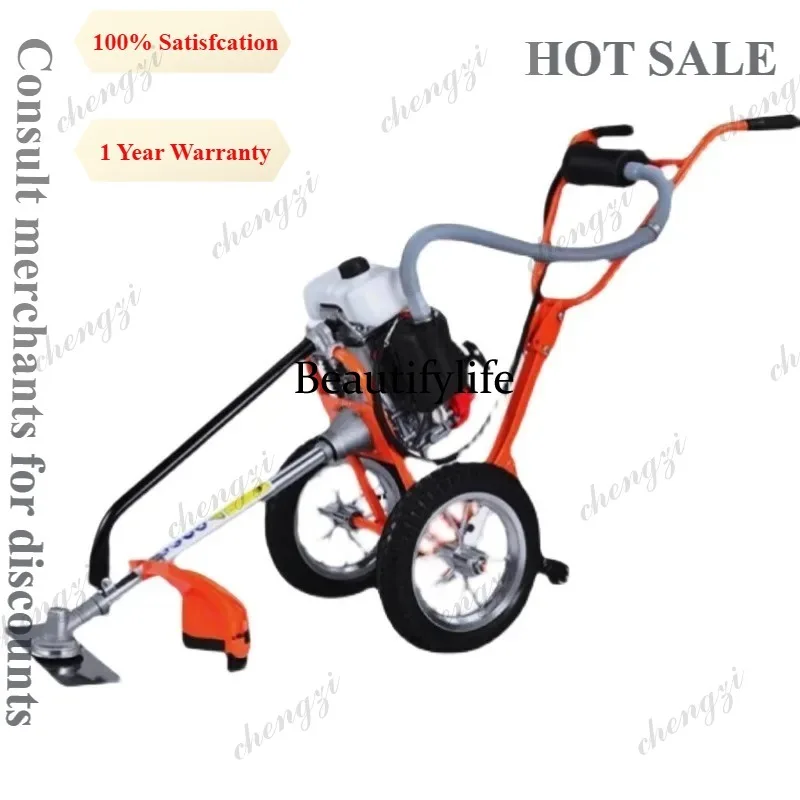 Mesin pemotong rumput dorong L - Power Tools Garden ulasan dan harga