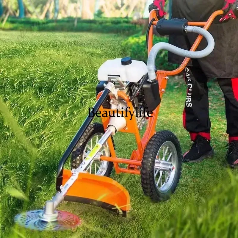 Mesin pemotong rumput dorong L - Power Tools Garden ulasan dan harga